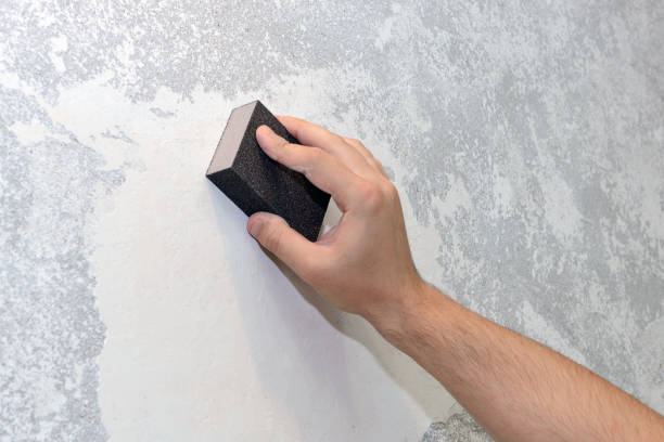 Best Comprehensive Air Testing for Mold Contaminants  in Saratoga, WY