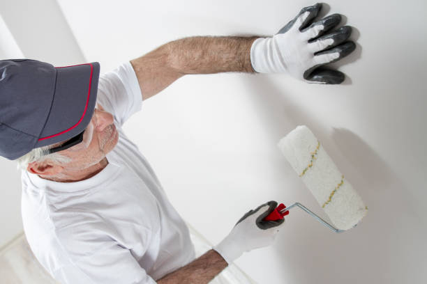 Best Post-Remediation Verification Testing  in Saratoga, WY