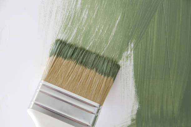 Trusted Saratoga, WY Mold Removal Experts