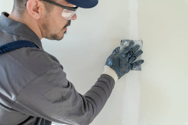 Reliable Saratoga, WY Mold Removal Solutions