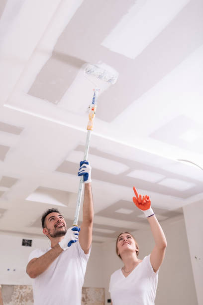 Best Environmental Consulting for Mold Prevention  in Saratoga, WY
