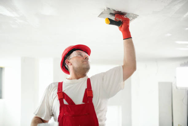 Best Real Estate Mold Inspection  in Saratoga, WY