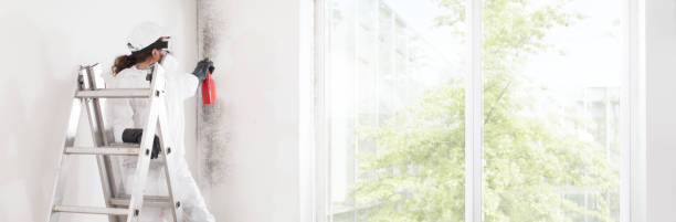 Best Dehumidification Services  in Saratoga, WY