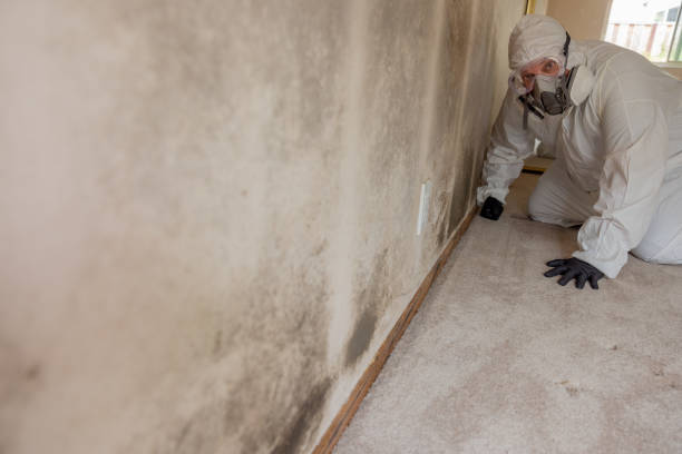 Best HVAC Mold Inspection and Cleaning  in Saratoga, WY