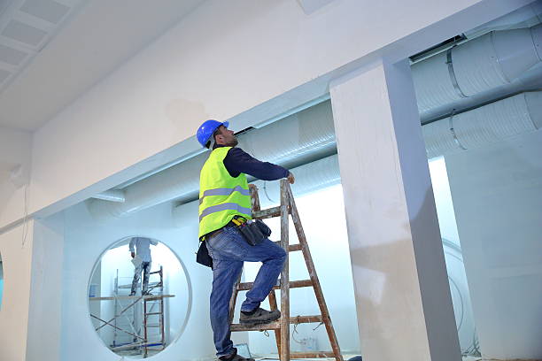 Best Attic Mold Removal  in Saratoga, WY